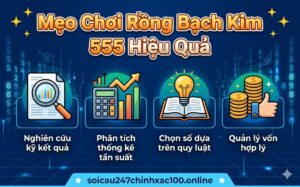 Rồng bạch kim 555 chính xác 100