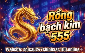 Rồng bạch kim 555