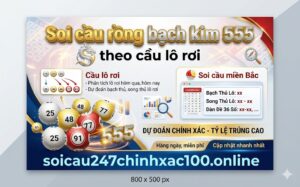 Soi cầu rồng bạch kim 555